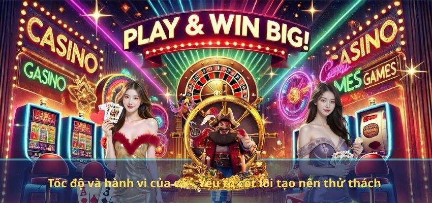 Tốc độ và hành vi của cá – Yếu tố cốt lõi tạo nên thử thách